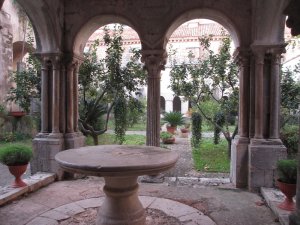 IMG_4535