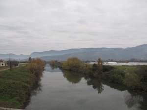 IMG_4565