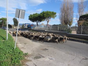 IMG_4744