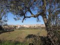 IMG_4802