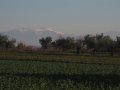 IMG_0083
