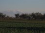 IMG_0083
