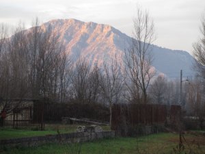 IMG_0174