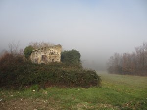 IMG_4988