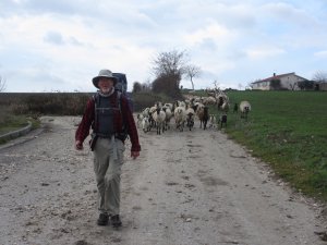IMG_5074