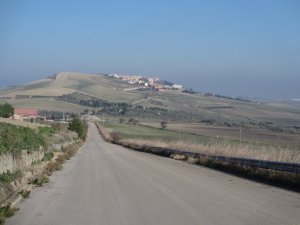 IMG_5210