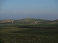 IMG_5233