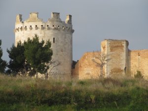 IMG_0120