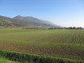 IMG_5317