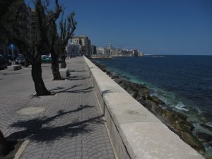 IMG_8227