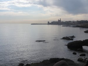 IMG_8234