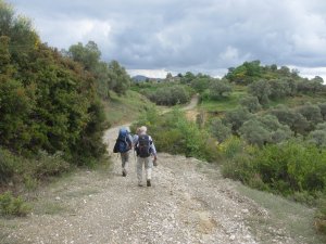IMG_8413