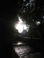 IMG_9172