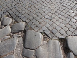 IMG_4220